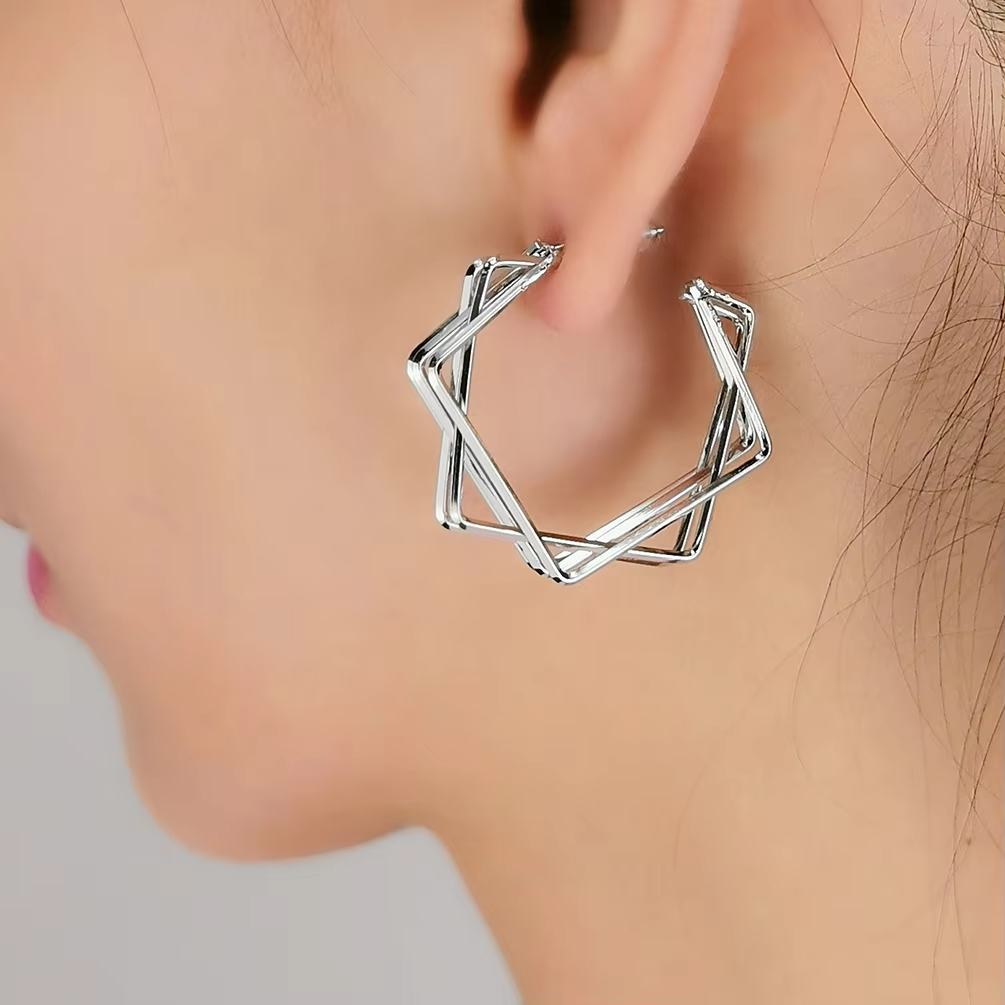 LE04 Earring