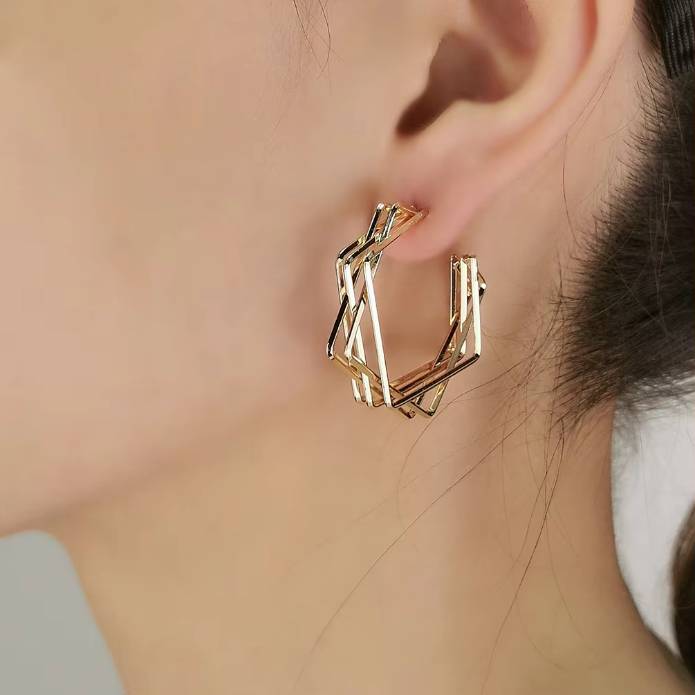 LE04 Earring