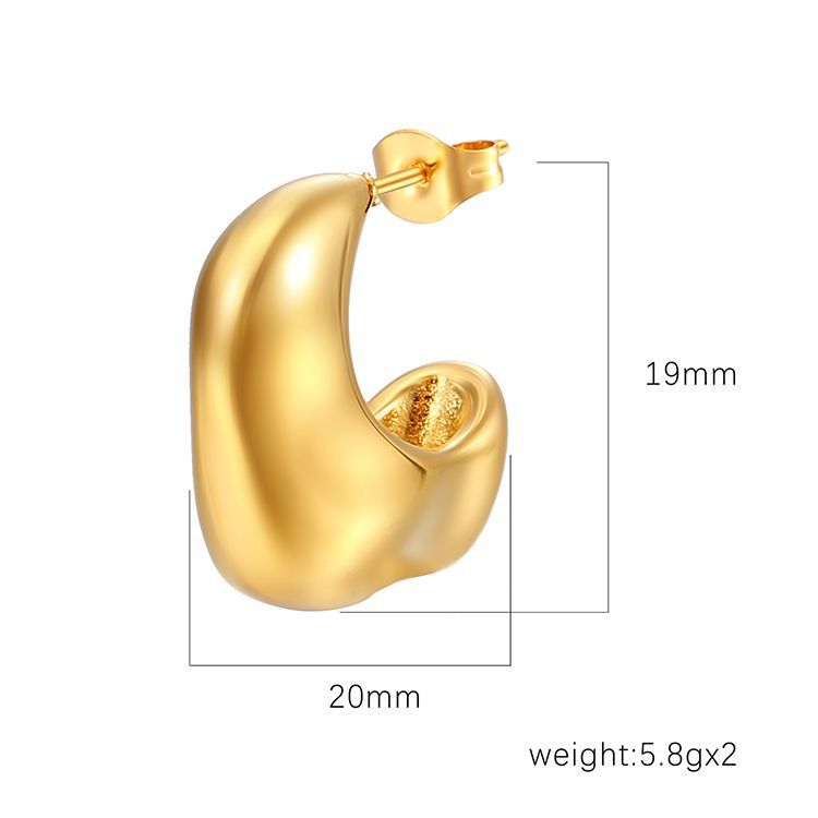 LE46 Earring