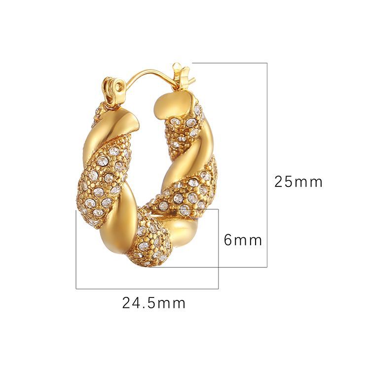 LE27 Earring