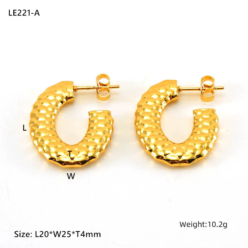 LE221 Earring