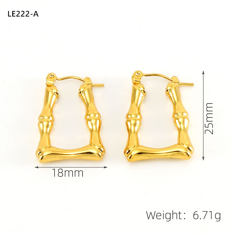 LE222 Earring