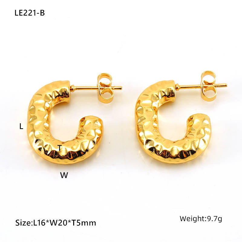 LE221 Earring