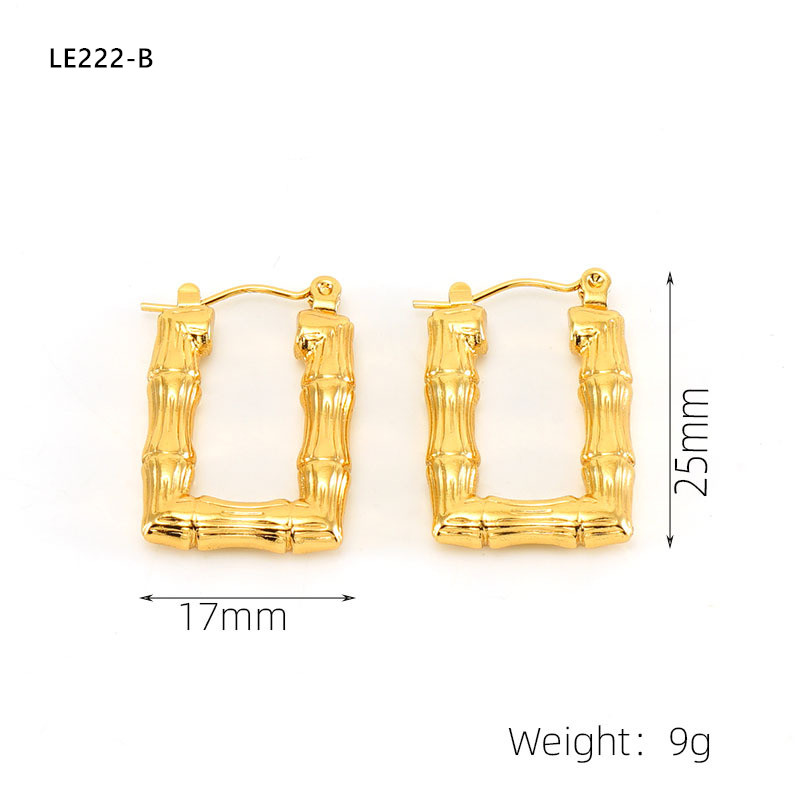 LE222 Earring