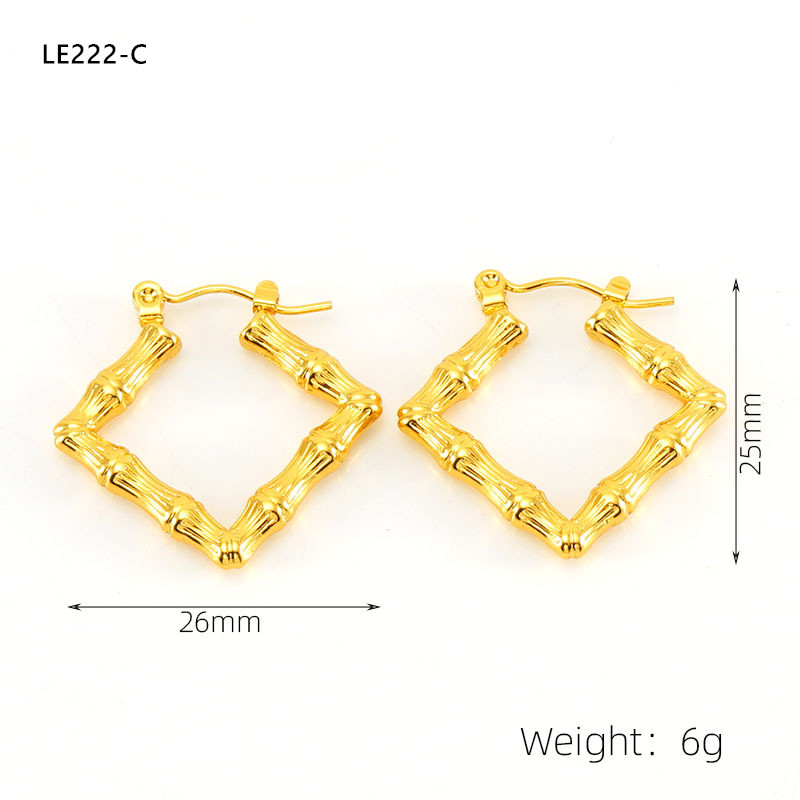 LE222 Earring